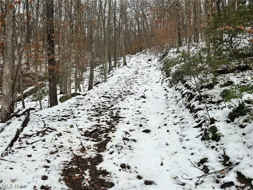 Picture 8