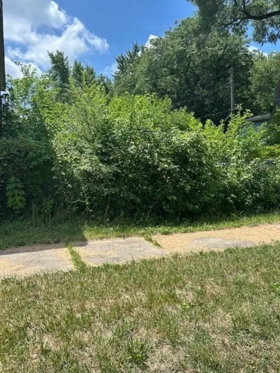 Picture 4