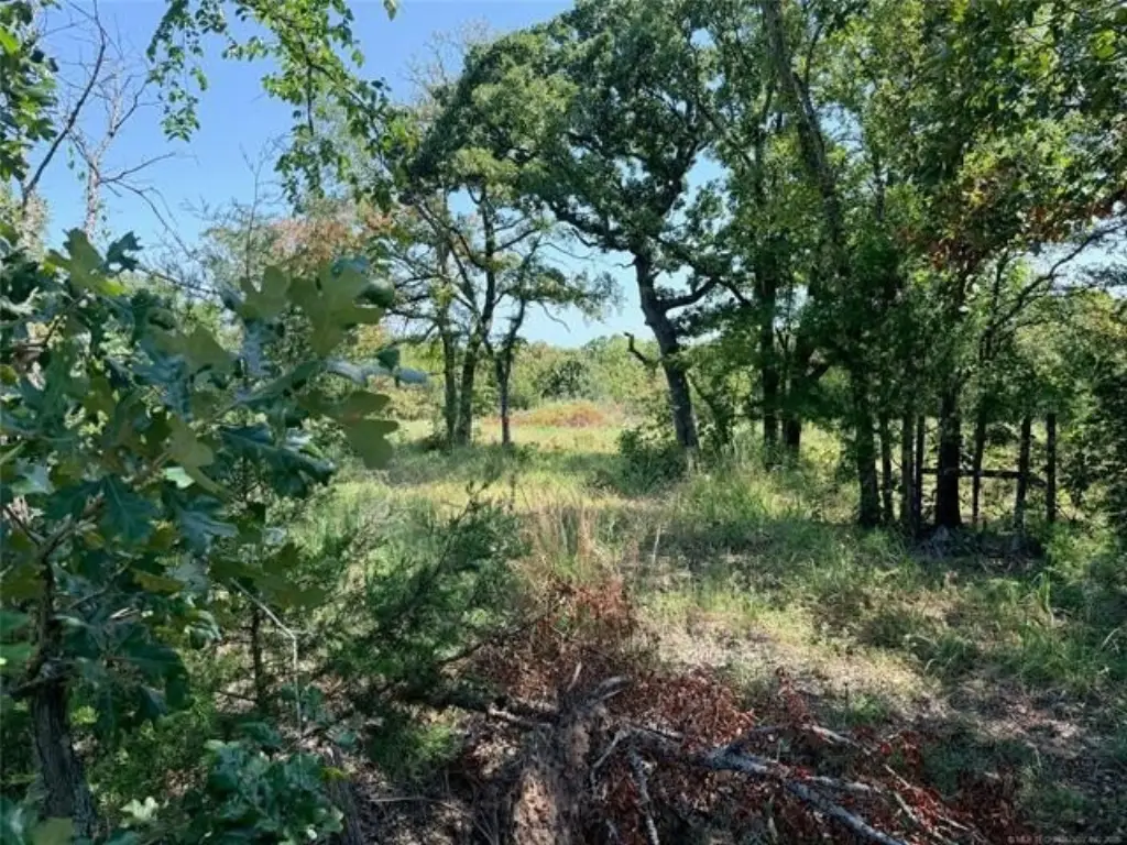 Picture 29