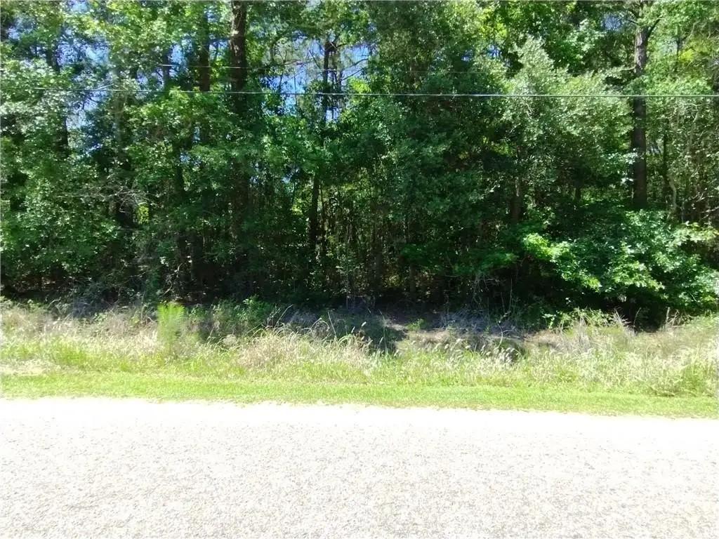 Picture 2