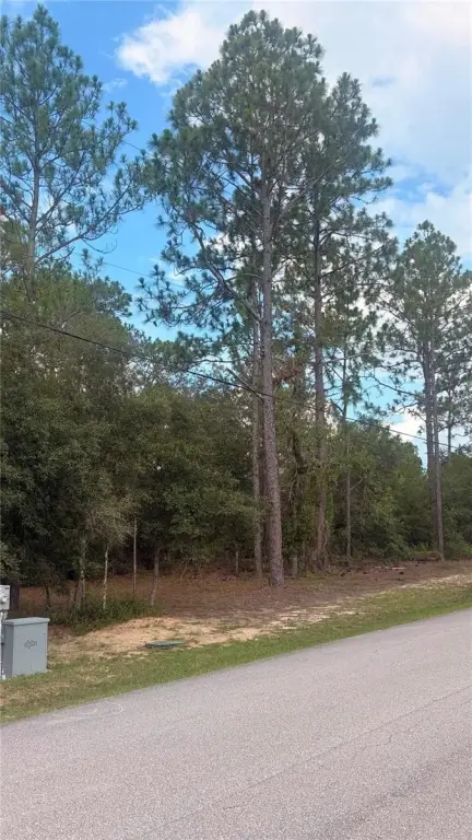 Picture 3