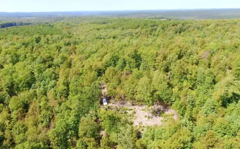 Wooded Hunting Land with Forest Frontage