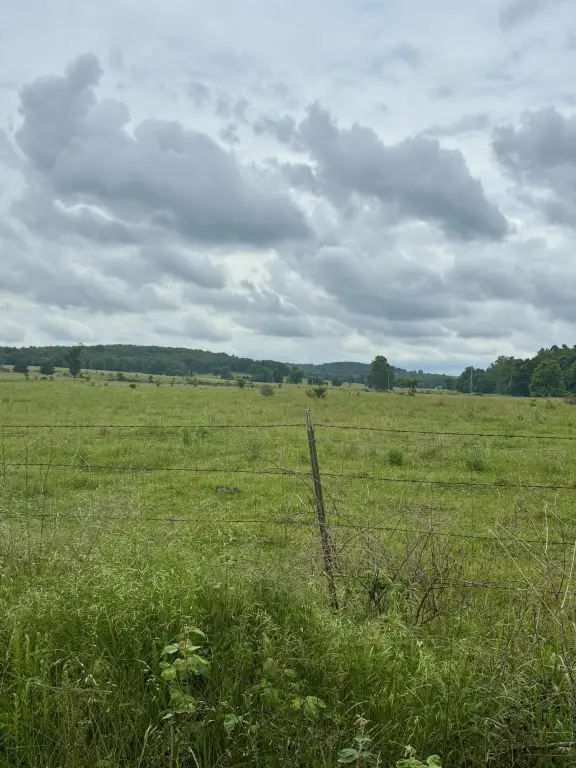 Picture 32