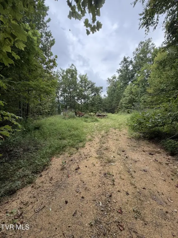 Picture 25