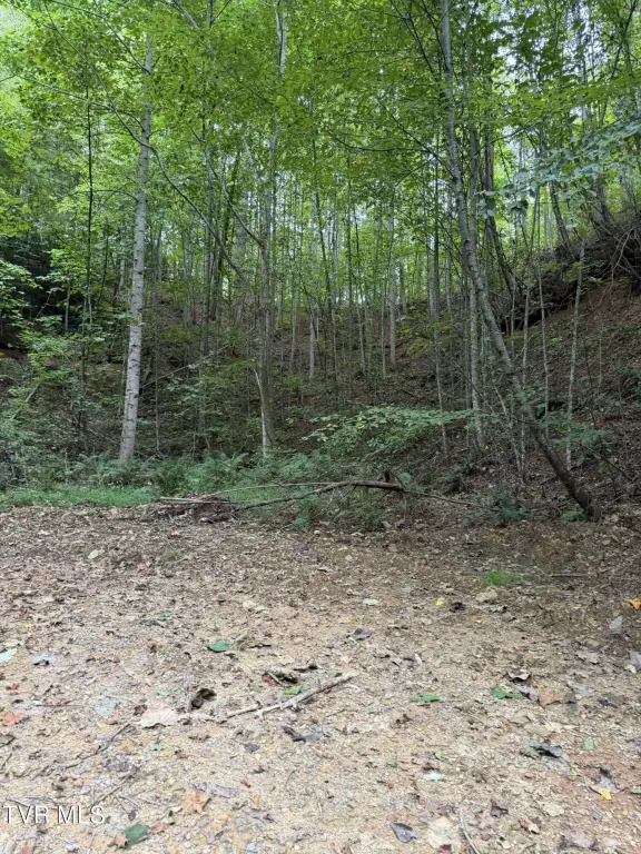 Picture 23
