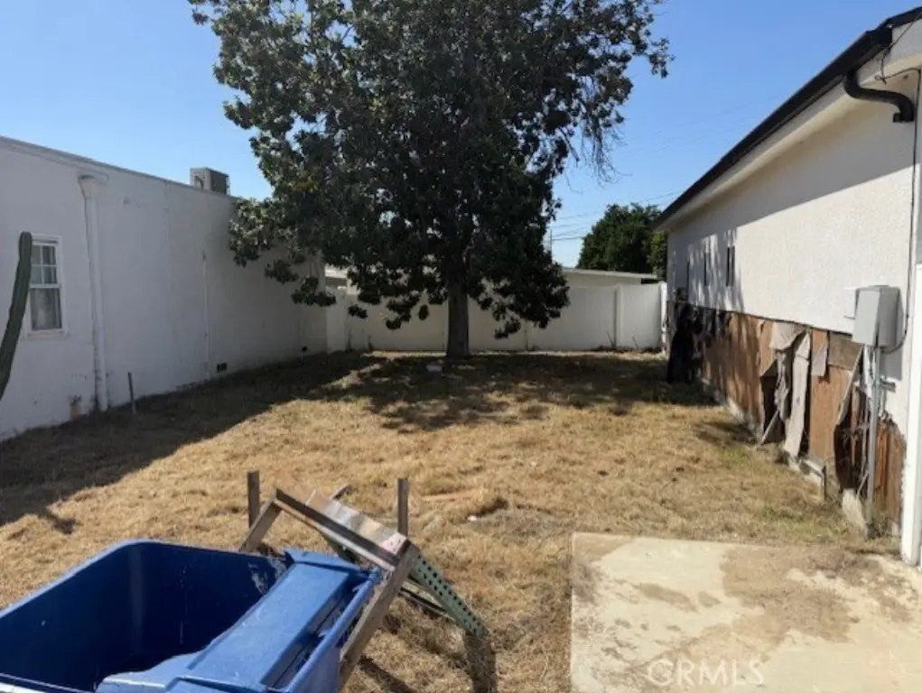 Picture 20