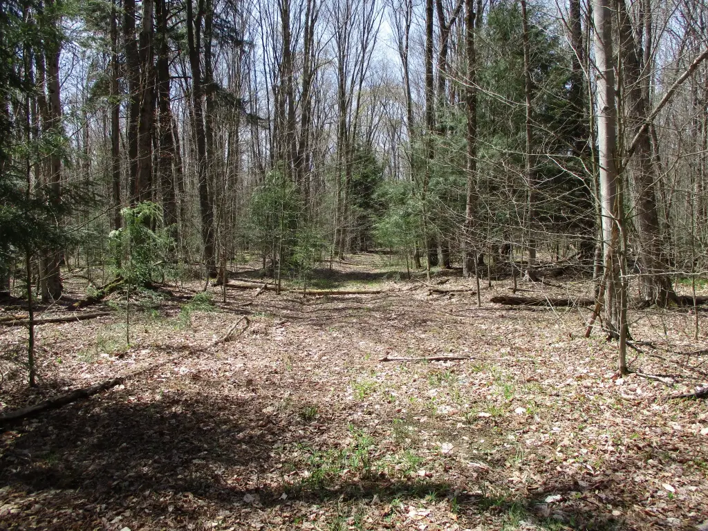 Picture 3