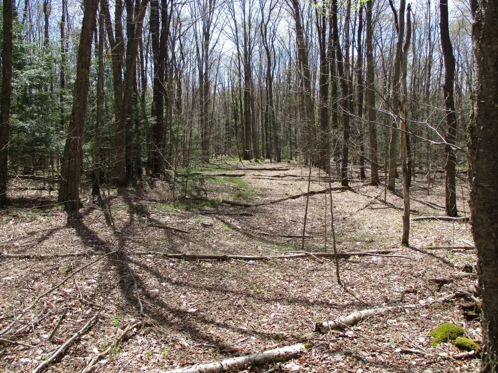 Picture 7
