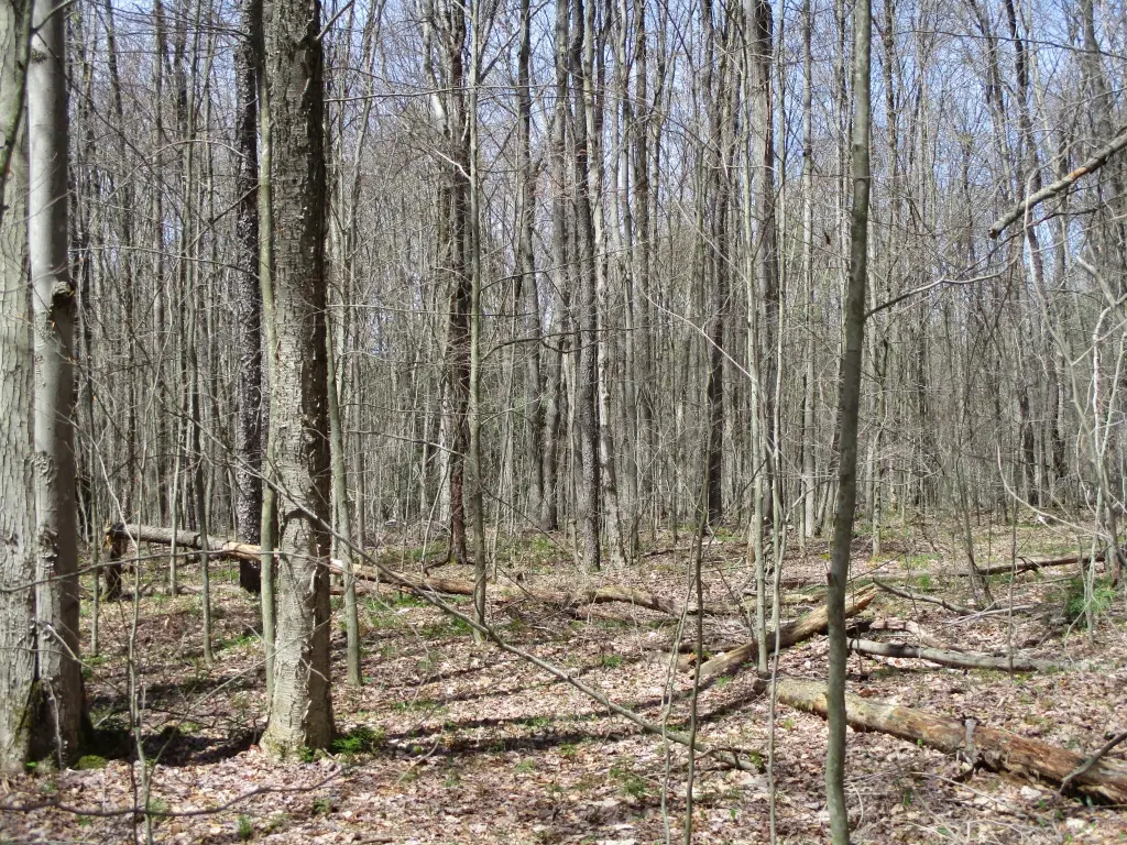 Picture 6