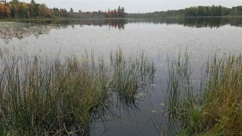 Picture 57