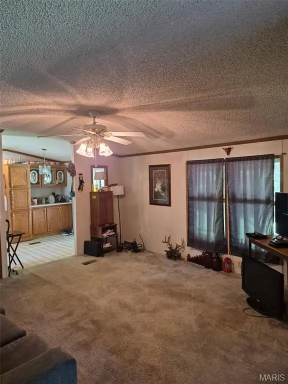 Picture 48