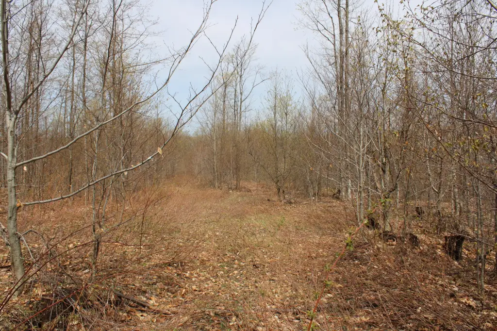 Picture 20
