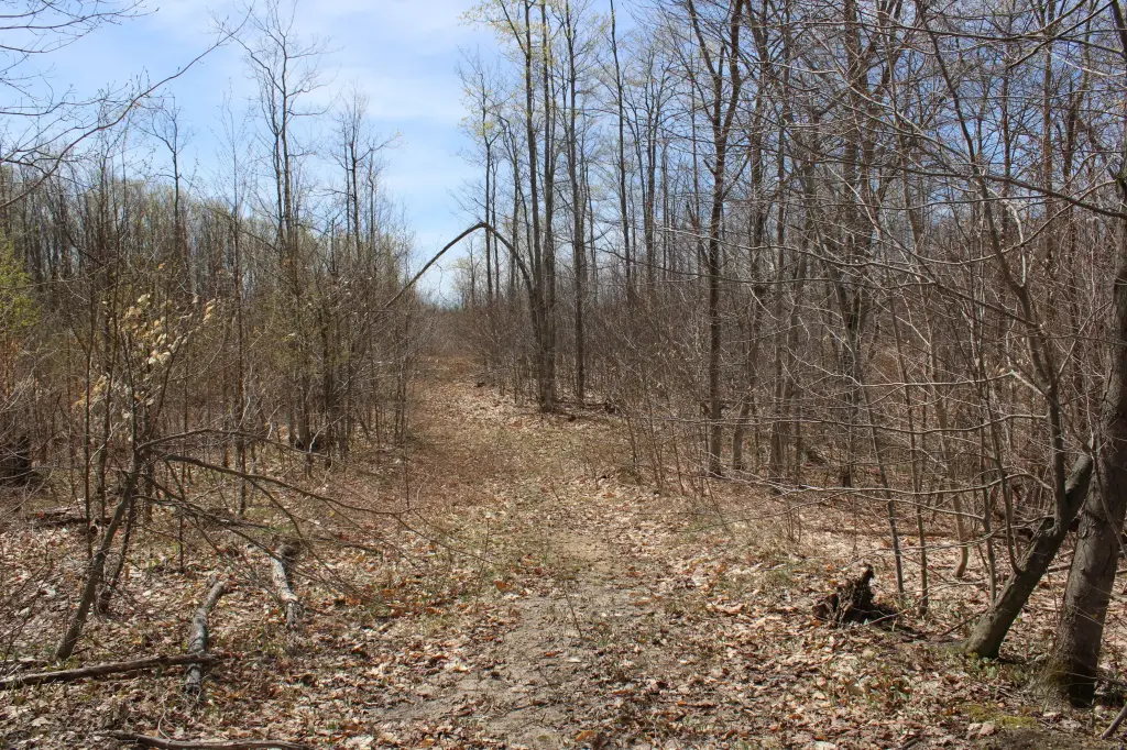 Picture 38