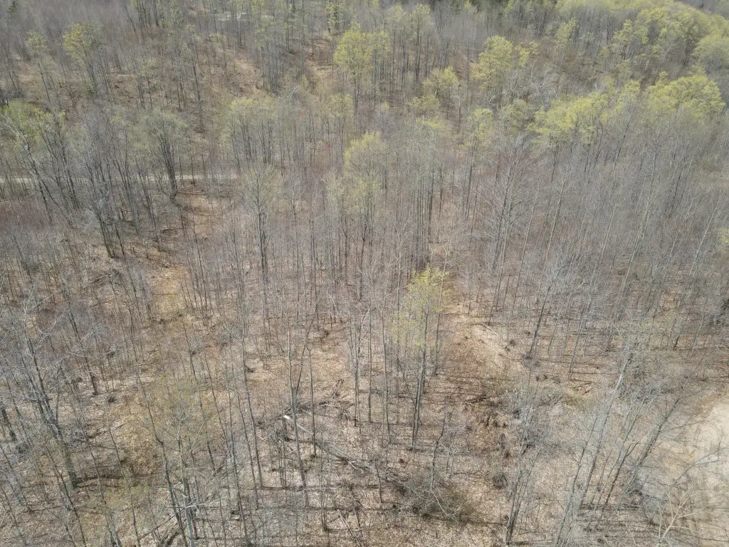 Picture 8