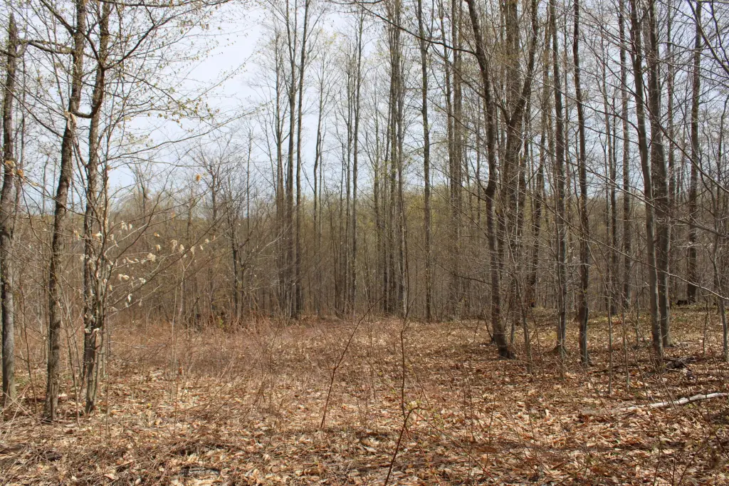 Picture 31