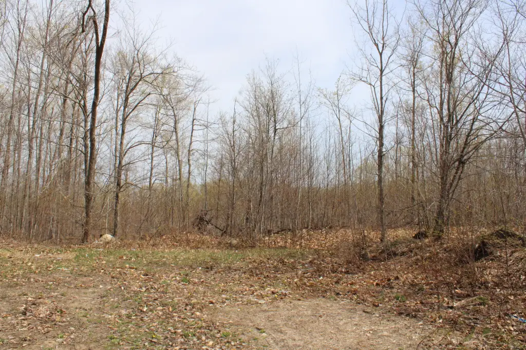 Picture 30