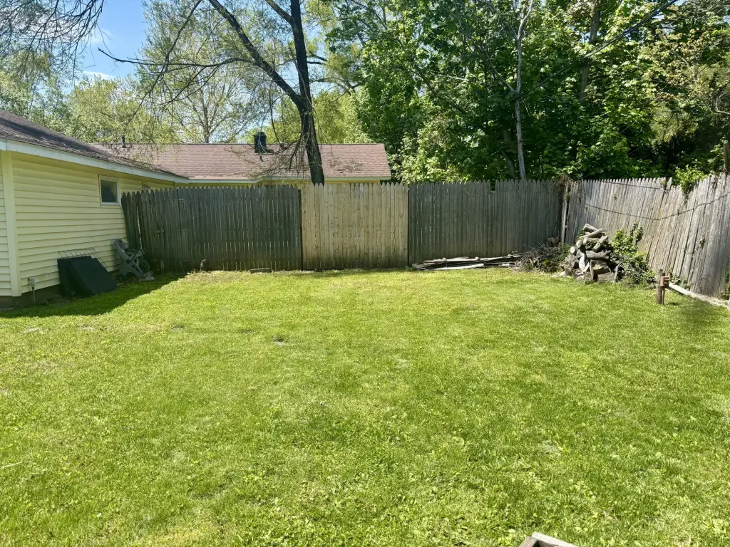 Picture 4