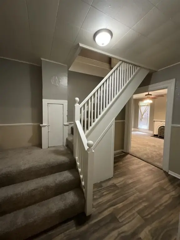 Picture 8