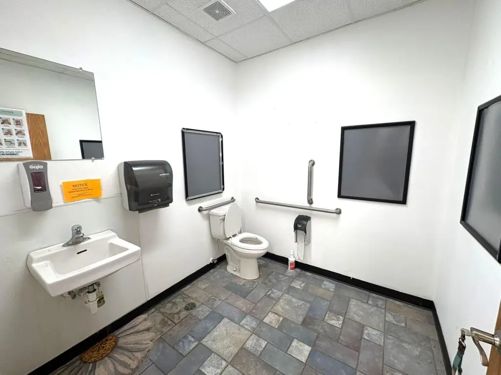 Picture 11