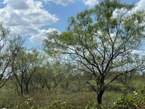 Picturesque Cleburne Ranch Land