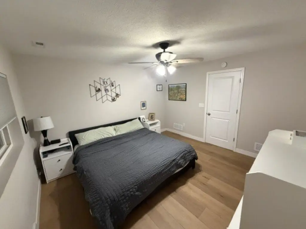 Picture 11