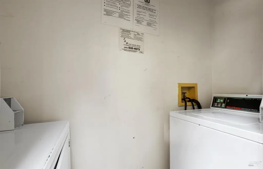 Picture 27