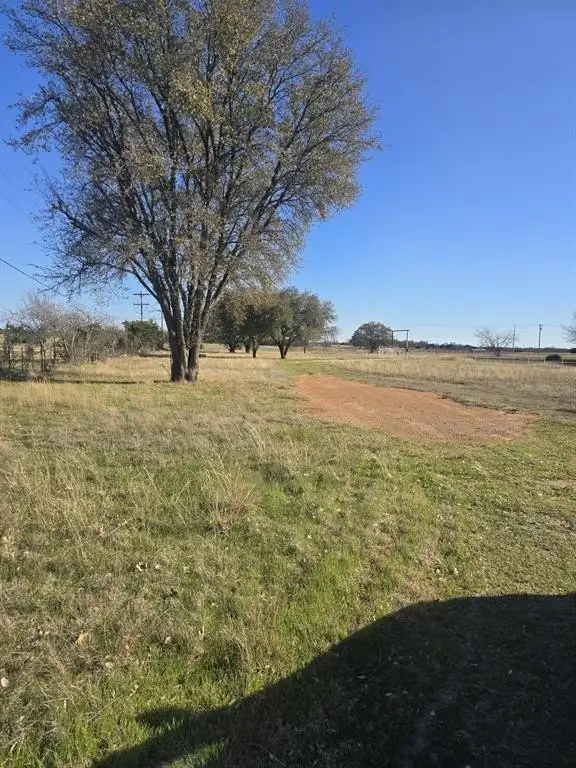Picture 21