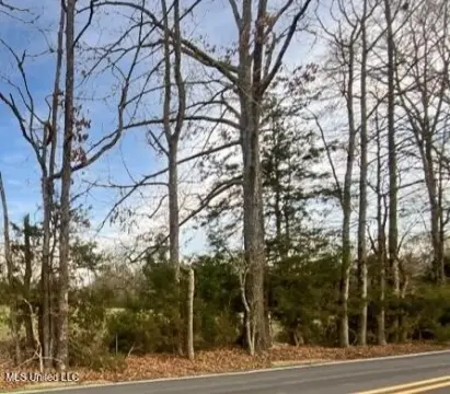 40 Acres in Developing Brandon