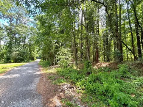 Nine Acre Wooded Homesite