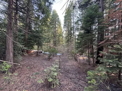 Shaver Lake Homesite Opportunity