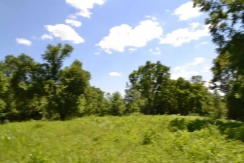Picture 45