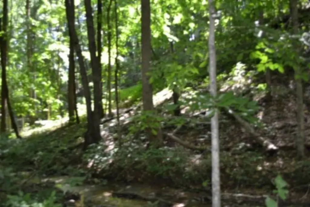Picture 41