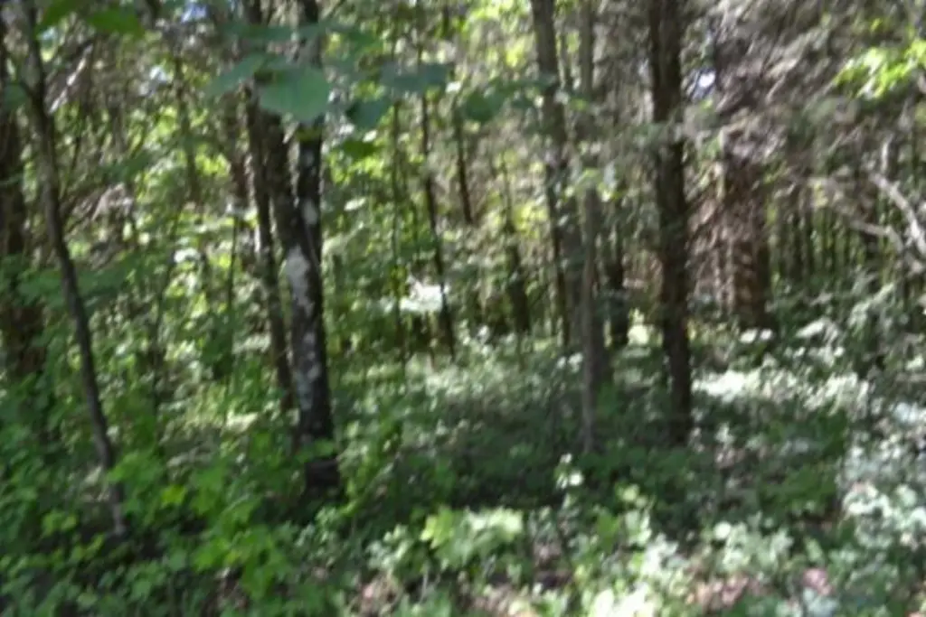 Picture 19