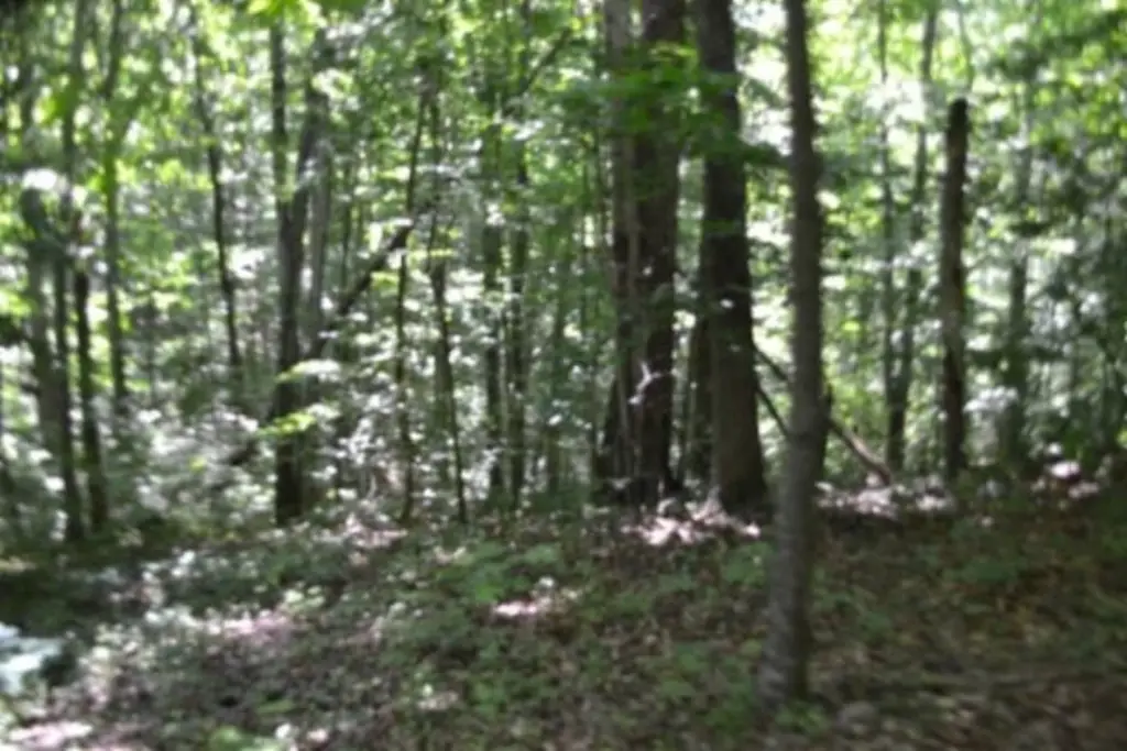 Picture 21