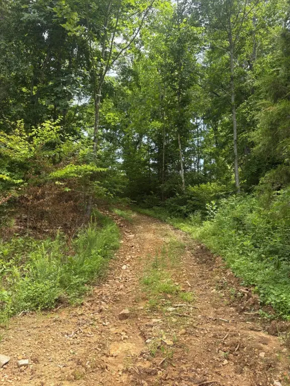 Picture 19