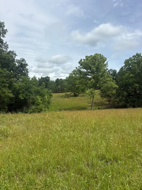 Picture 21