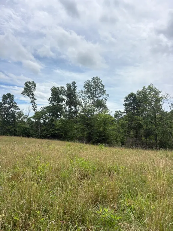 Picture 28
