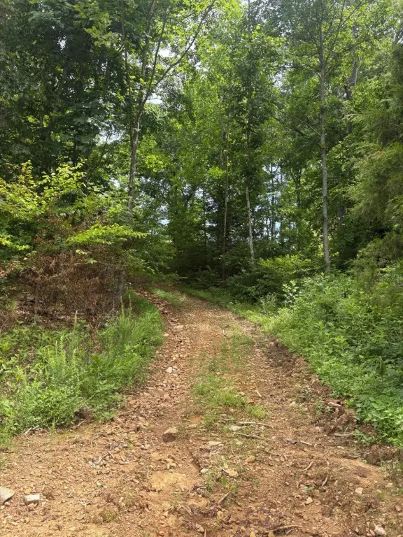 Picture 20
