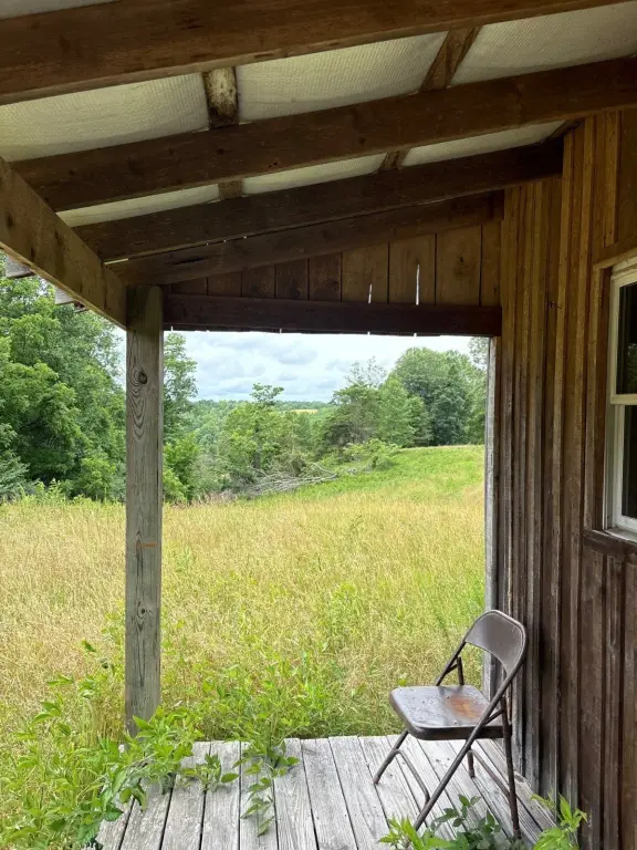 Picture 14