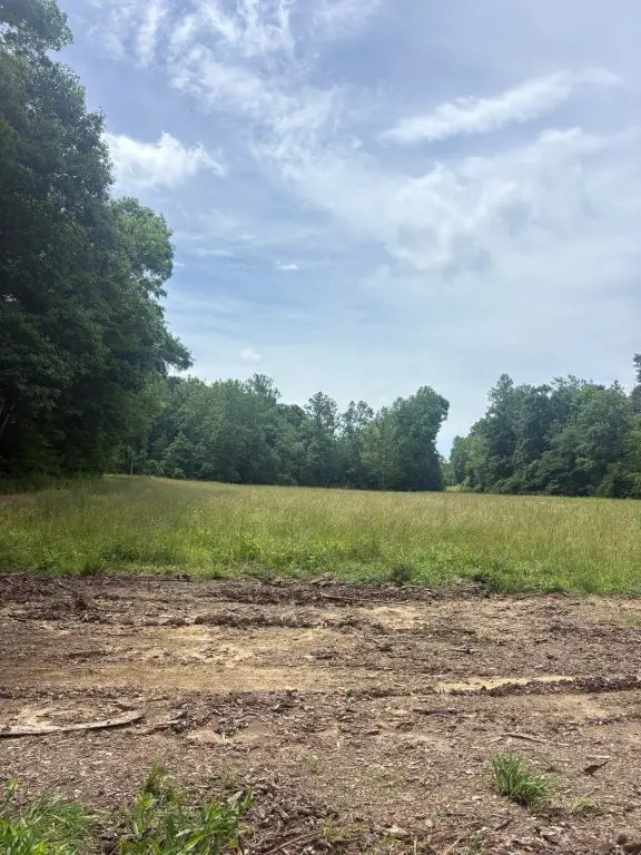 Picture 16