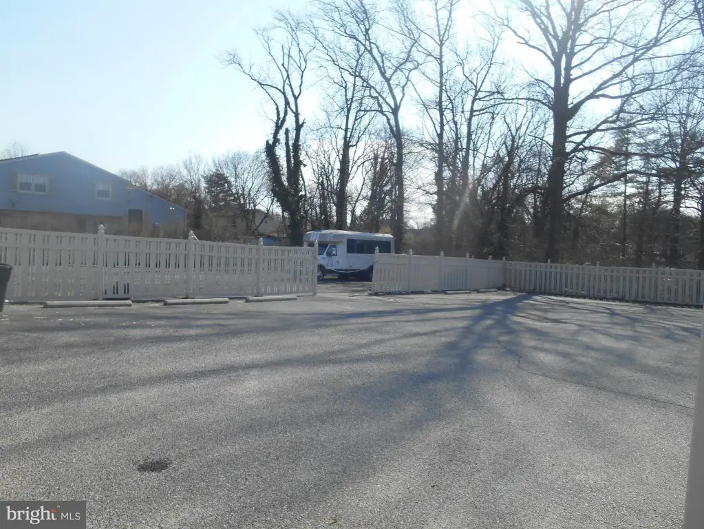 Picture 5