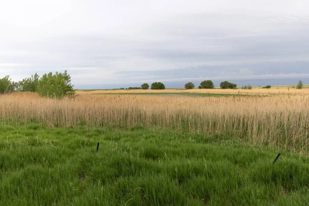 Picture 40
