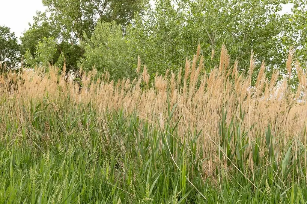 Picture 39