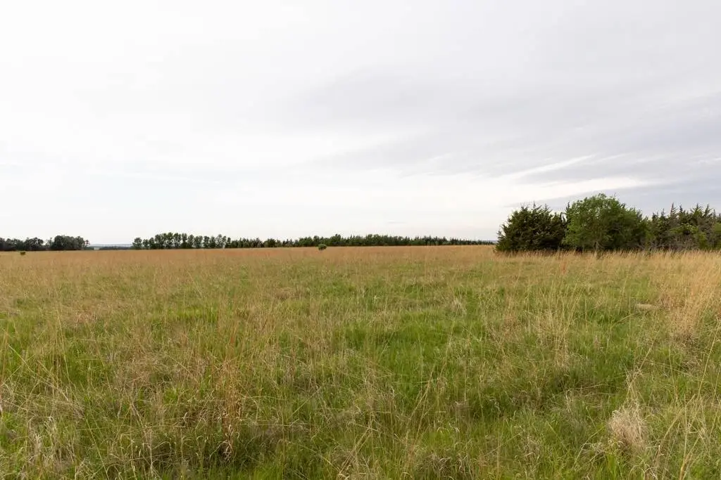 Picture 45
