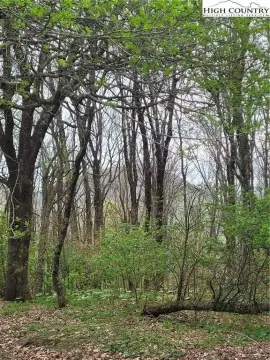 Land in Blue Ridge Mountains