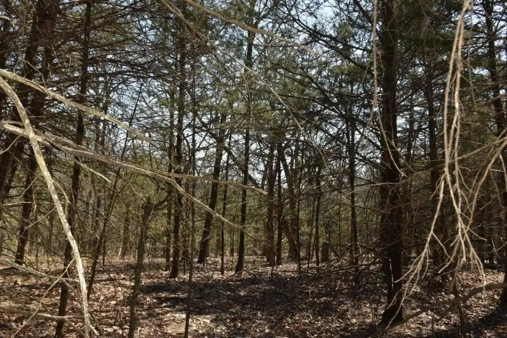 Picture 3