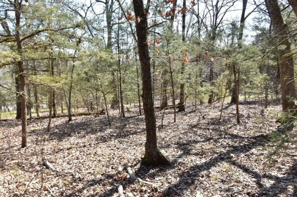 Picture 4
