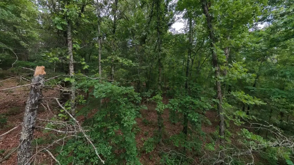 Picture 14
