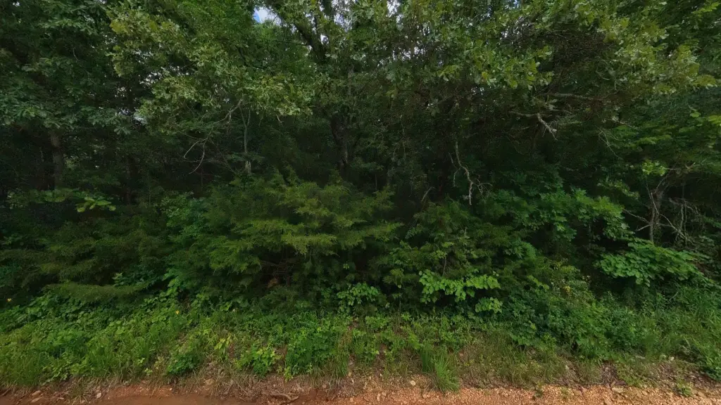 Picture 21