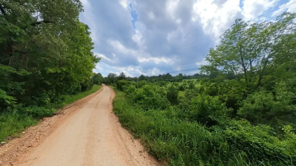 Picture 20